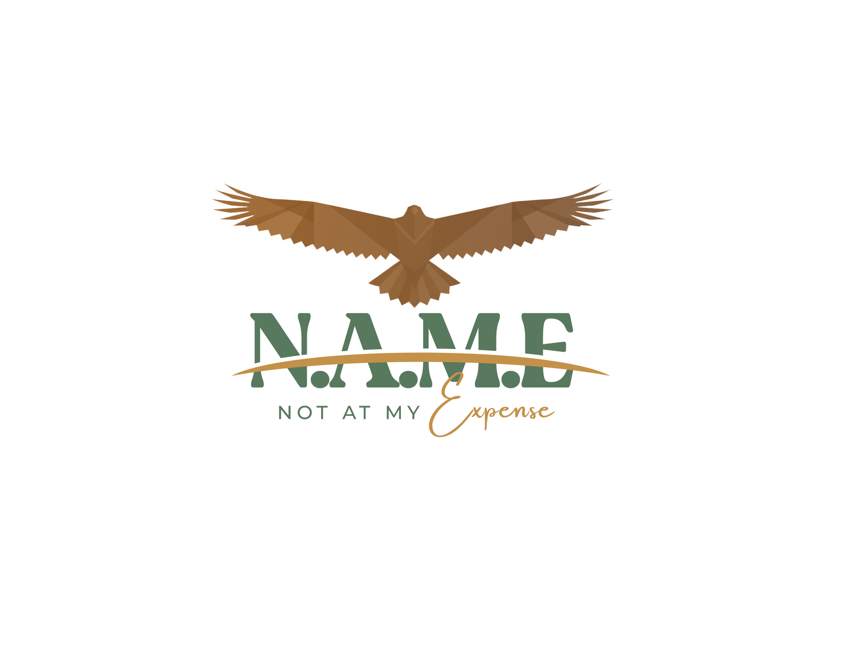 N.A.M.E. Platform logo — Not At My Expense